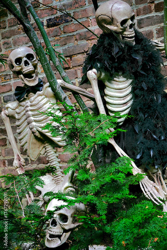 Halloween holiday paraphernalia and decorations for outdoor and backyard celebrations.
