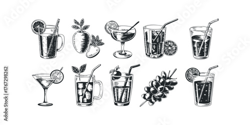 Collection of Vintage Drink Illustrations with Citrus and Fruit