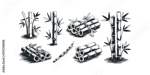 Collection of Bamboo Stalks and Bundles with Leaves