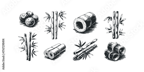 Collection of Ink Sketches Featuring Bamboo Stalks and Related Objects