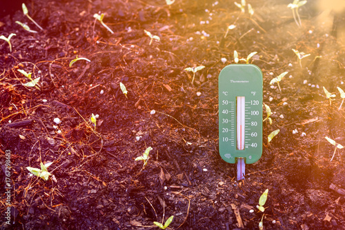 View of propagation thermometer in dark rich soil golden warm tones sunlight in background. Garden tool and nature concept.