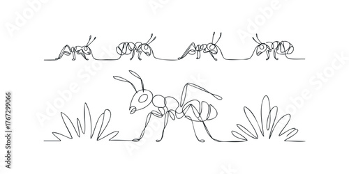 Continuous line drawing of ants walking among grass