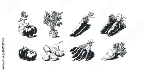 Collection of Black and White Vegetable Sketches with Foliage