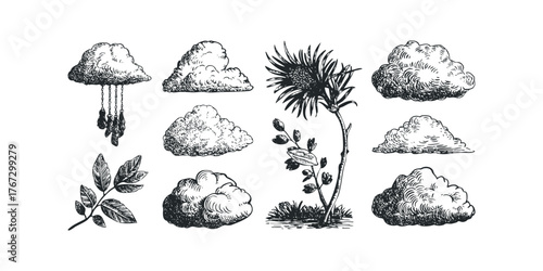 Hand drawn clouds and botanical elements in sketch style