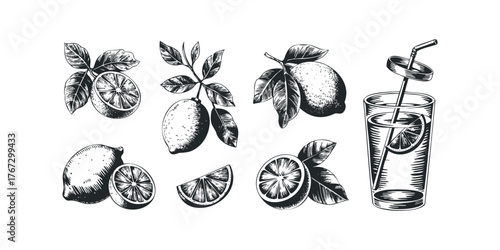 Hand drawn lemons and refreshing drink with straw