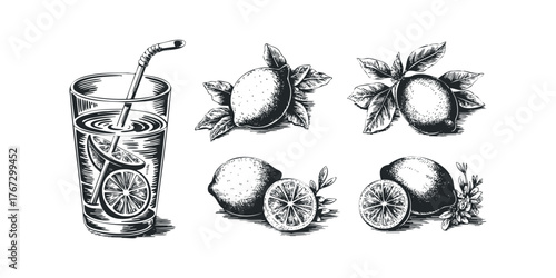 Sketch of refreshing lemon drink and whole and sliced lemons