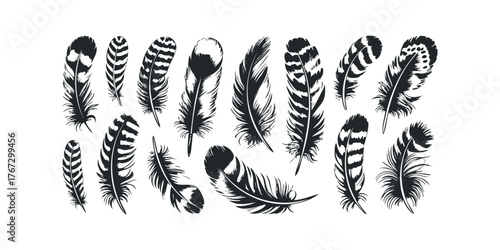 Collection of black silhouette bird feather graphics