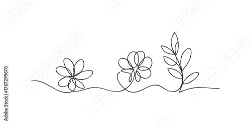 Minimalist line art of evolving flowers and foliage