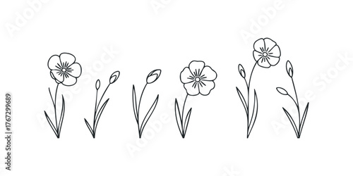 Line art flowers and buds on white background