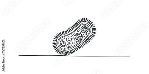 Hand drawn single line art of a bacterium