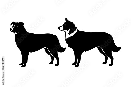 Two distinct dog breeds a collie and a border collie are depicted in a clean modern black silhouette style against a white background showcasing their profiles