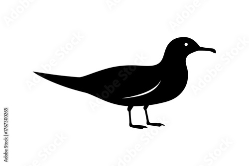 A simple black silhouette of a seagull standing on its legs with its beak pointed to the right isolated on a white background silhouette