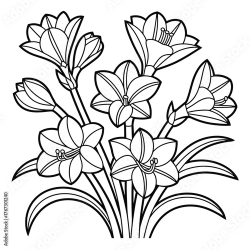 Scalable vector illustration of a lily flower bouquet coloring book design eps format for general use silhouette