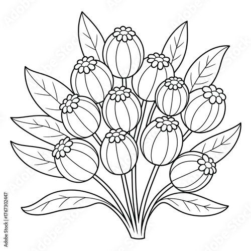 Elegant black and white line art illustration of poppy seed pods and leaves ideal for vector eps graphics silhouette