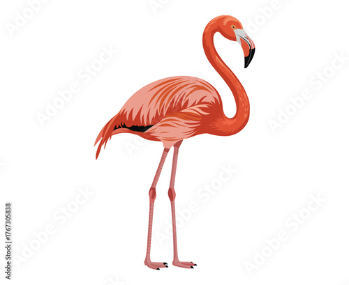 A vibrant illustration of a pink flamingo standing in profile view