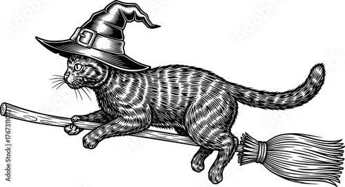 a black cat riding a broom, wearing a witch hat