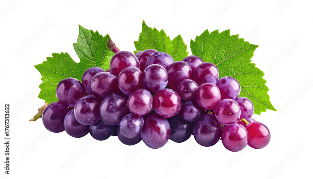 Fototapeta premium Luscious purple grapes with vibrant green leaves isolated on a transparent black background
