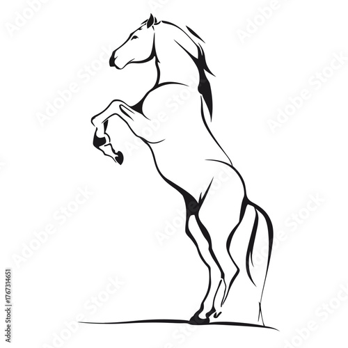 Elegant black and white horse illustration in a dynamic reared pose