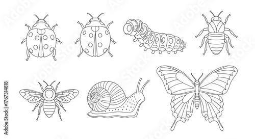 Line drawings of insects, including ladybugs, a caterpillar, a bee, a snail, and a butterfly, for coloring and educational purposes for children or adults.