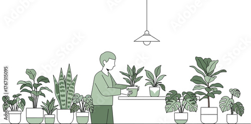 Man tending to indoor plants on shelf, creating serene and stylish home decor vibe