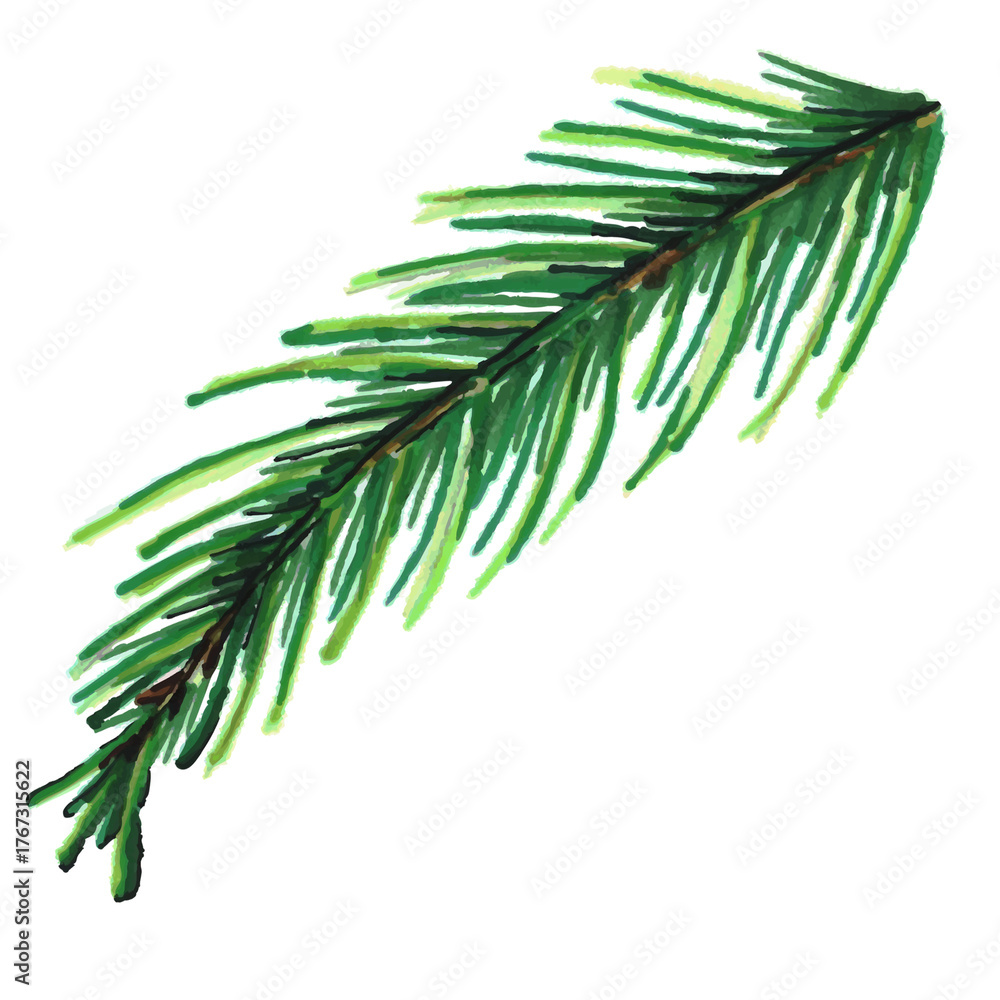Fototapeta premium christmas tree branch
