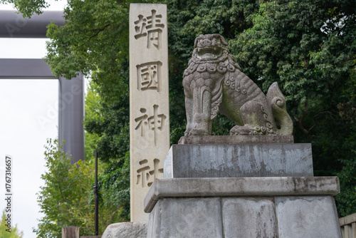 фотографія 靖国神社･大鳥居とイチョウ並木（銀杏）