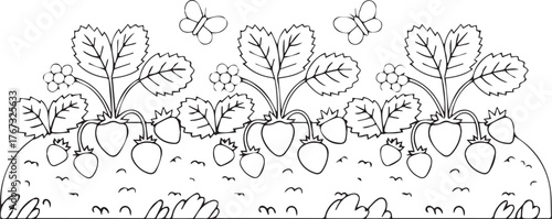 Vector art of strawberry patch with ripe fruit and butterflies