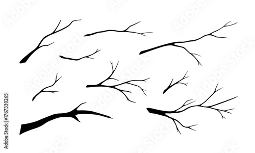 A set of silhouettes of tree branches. Dry, wintry, bare branches, isolated on a white background, vector illustration. A black and white drawing of brushwood. Graphic element for design, decoration