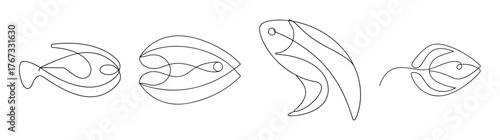 Four detailed outline drawings of fish fillets various angles preparation and presentation