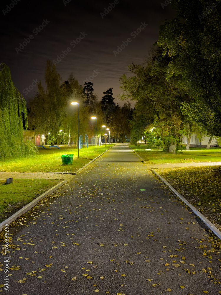 Obraz premium A path with a green trash can and a few trees