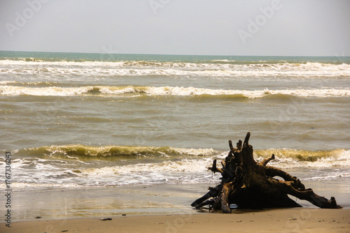 beach and sea