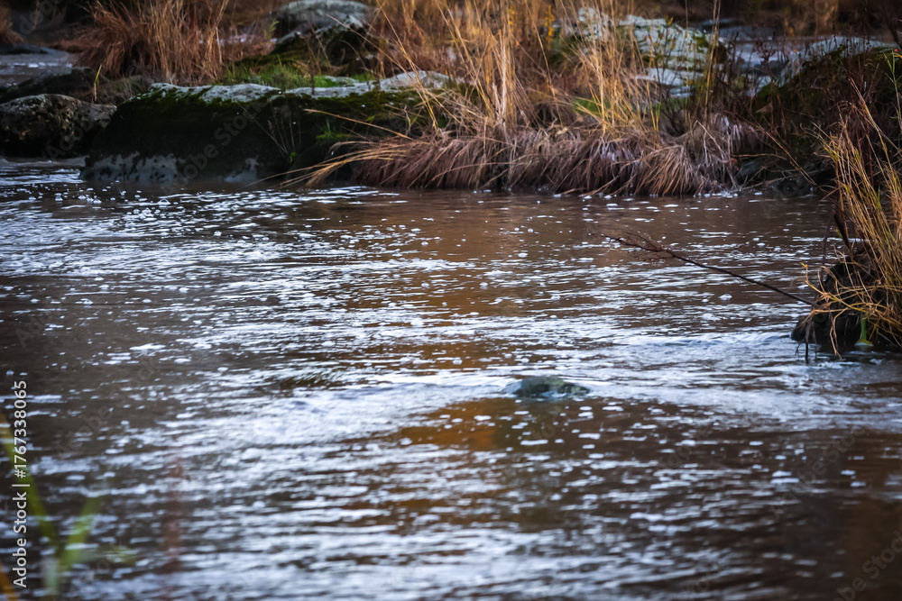 Obraz premium Artificial fish ladder in a river with water flowing over concrete steps, designed to help wild salmon migrate upstream through the dam, symbol of ecological restoration