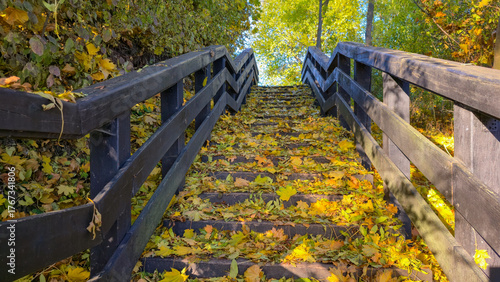 Kryłów and surrounding area. Autumn.