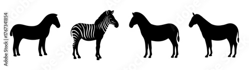 Four zebras silhouetted in different poses isolated on a