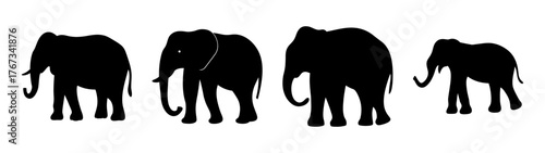 Four silhouette elephants various sizes standing side by side