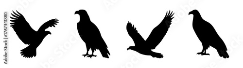 Four silhouette eagles in various poses majestic birds in flight and standing