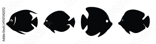 Four silhouetted angelfish swimming together underwater sea creatures ocean life