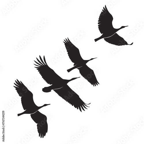 Silhouette of a group of cranes in flight, showcasing their elegant wings and long necks as they soar through the air in perfect harmony