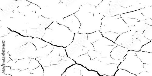 Cracked dry earth surface showing drought and arid land pattern. High-contrast black and white cracked soil background ideal for climate change, desertification, and natural texture design.

