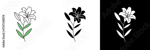 A delicate white lily flower symbolizing purity and renewal, perfect for religious events, spring celebrations, or spiritual-themed vector designs.