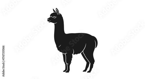 A black alpaca stands against a white background.