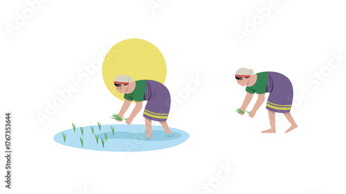 Female rice plantation harvest Assam