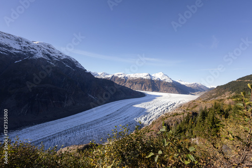 Salmon Glacier with pine trees along Cassiar Highway, Stewart, BC, Canada