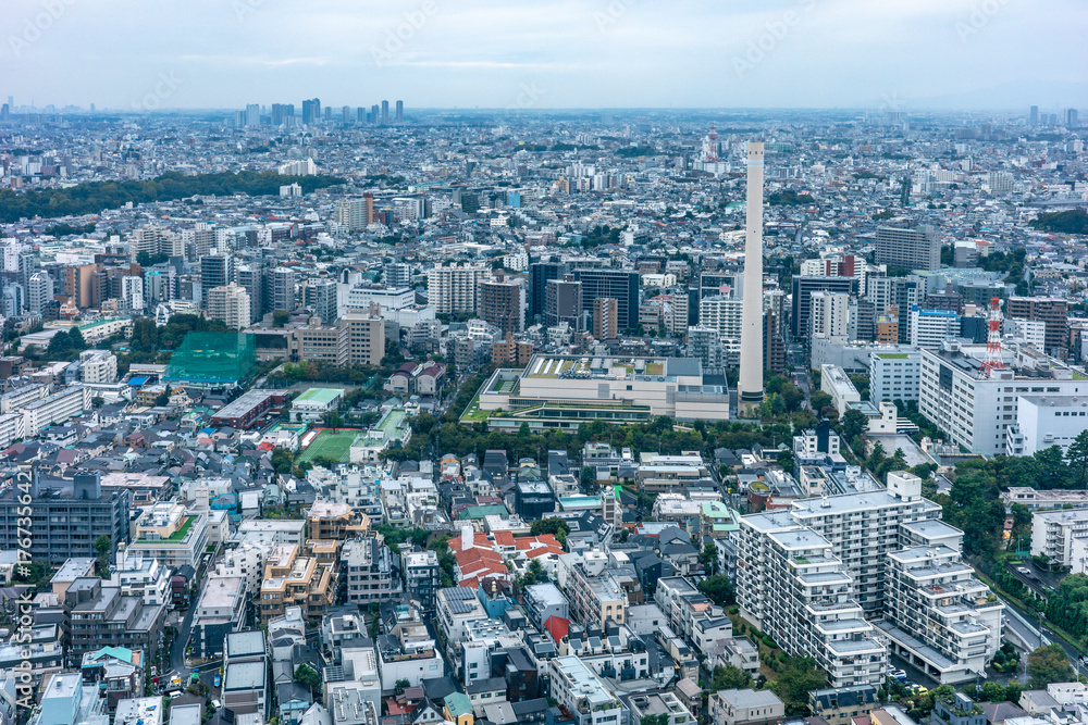 Fototapeta premium 高層ビルから望む雨の日の東京