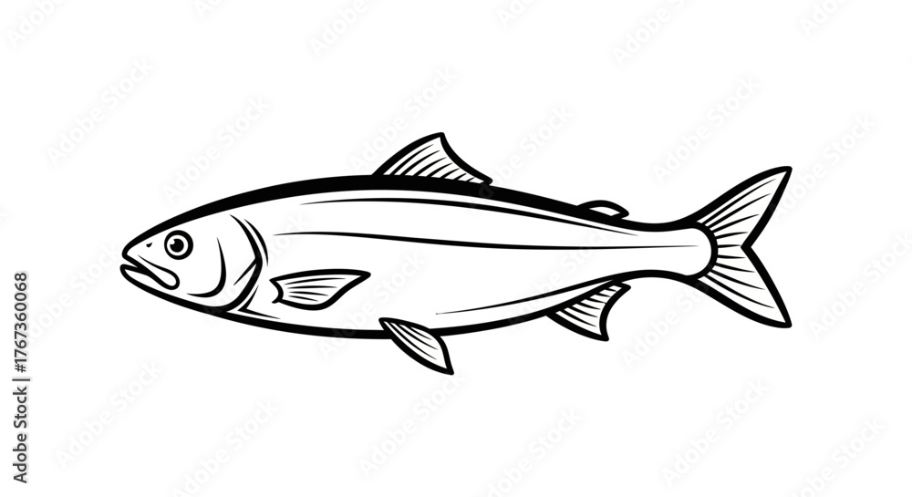 Fototapeta premium A stylized illustration of a single, realistic-looking fish against a white background.