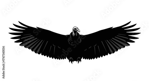 A solitary vulture spreads its wings wide in a dark silhouette against a white background.