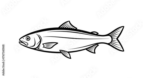 A stylized illustration of a single, realistic-looking fish against a white background.