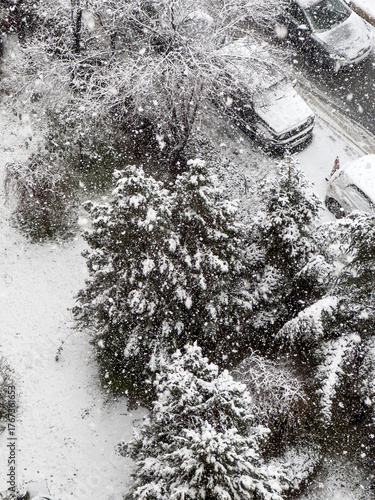 snow covered trees and parked cars during heavy snowfall in winter in city