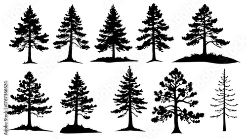 Bring nature’s beauty to your designs with this elegant black pine tree silhouettes set - Perfect for forest, outdoor, or winter-themed projects!
