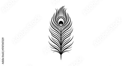 A detailed illustration of a single peacock feather on a white background.